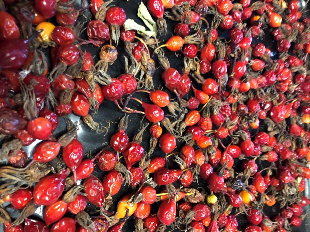 Про шиповник